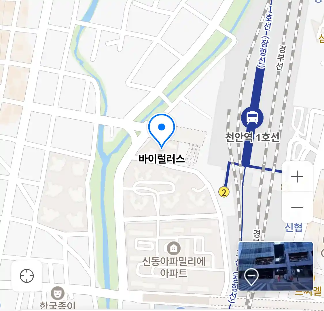 바이럴러스 위치