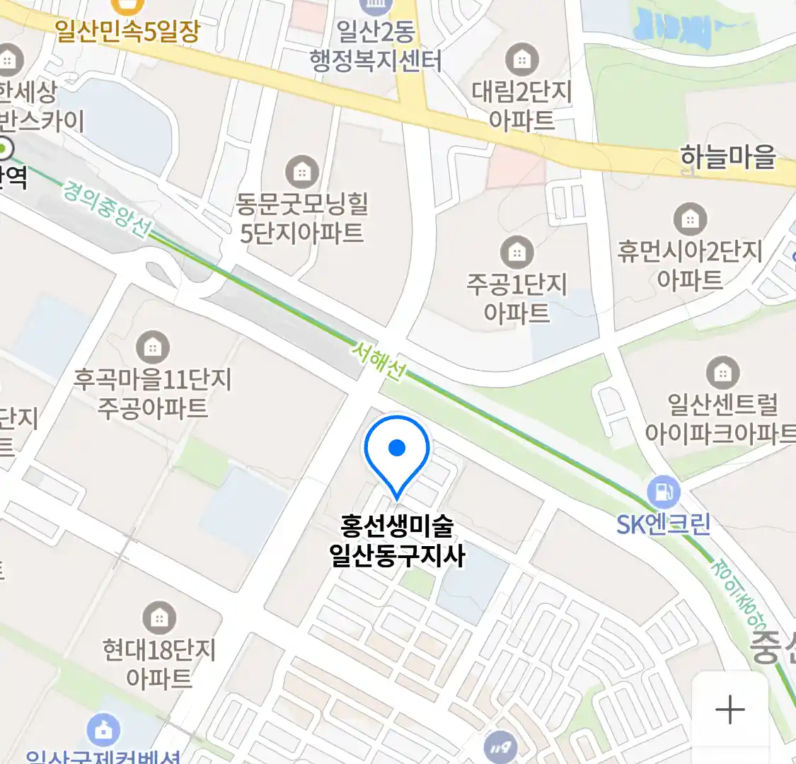 홍선생미술 일산동구지사 위치