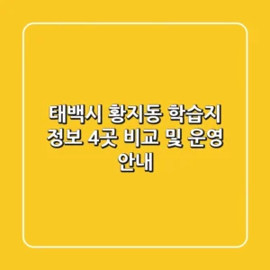 태백시 황지동 학습지 정보: 4곳 비교 및 운영 안내