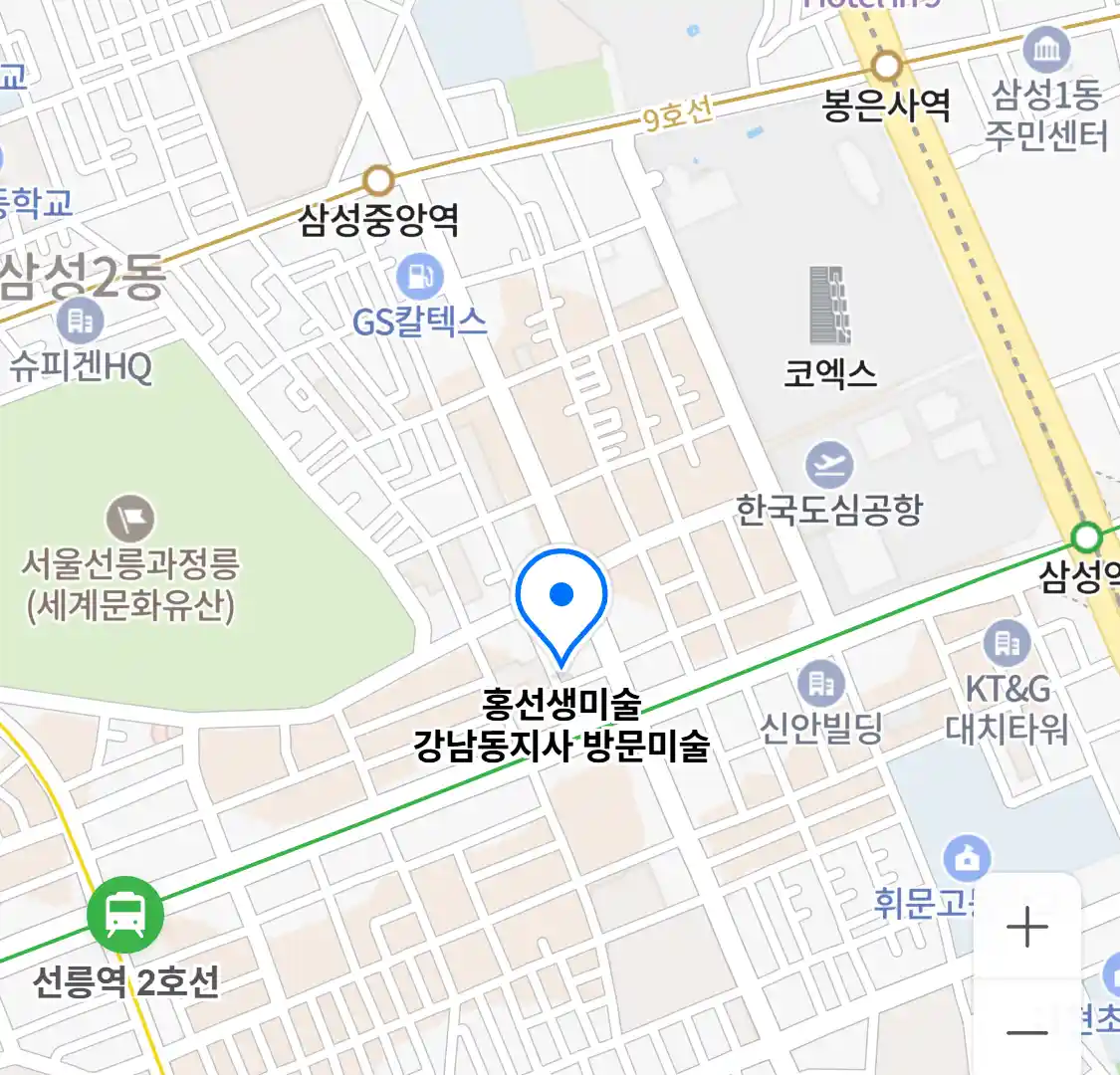 홍선생미술 강남동지사 위치