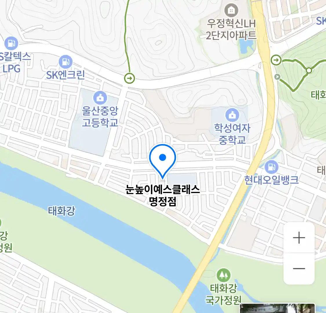 눈높이예스클래스 명정점 위치