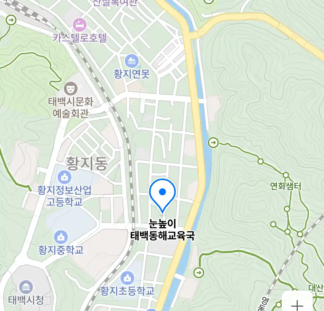 눈높이 태백동해교육국 위치