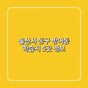 울산시 동구 방어동 학습지 5곳 정보