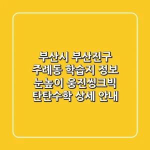 부산시 부산진구 주례동 학습지 정보: 눈높이, 웅진씽크빅, 탄탄수학 상세 안내