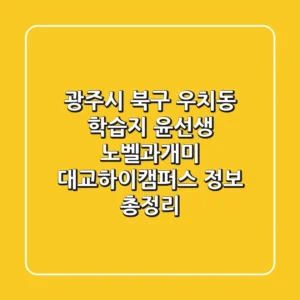 광주시 북구 우치동 학습지: 윤선생, 노벨과개미, 대교하이캠퍼스 정보 총정리