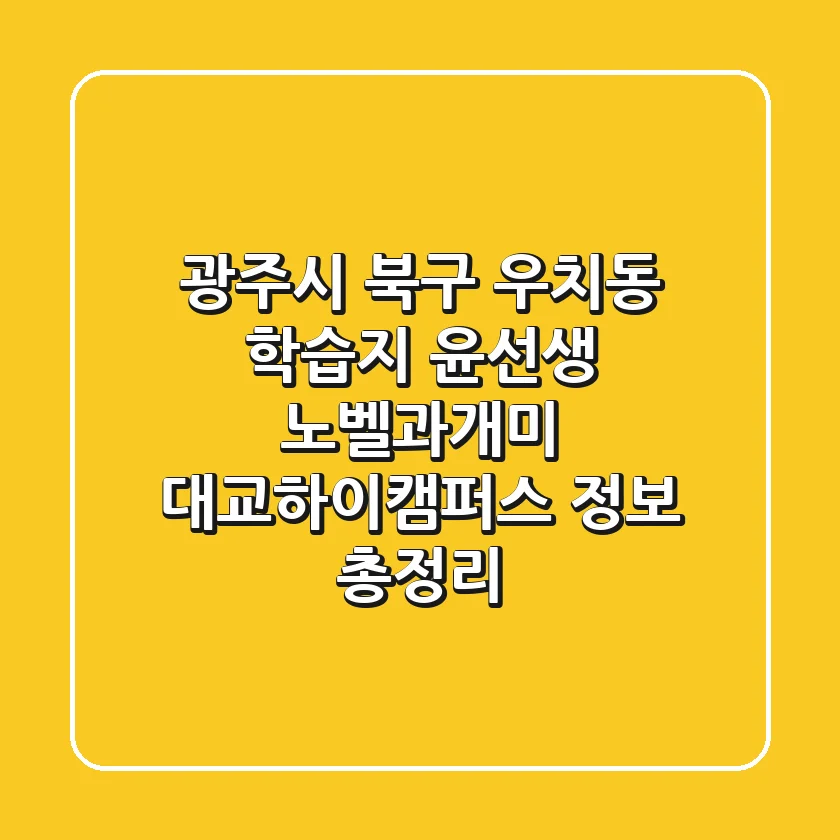 광주시 북구 우치동 학습지: 윤선생, 노벨과개미, 대교하이캠퍼스 정보 총정리
