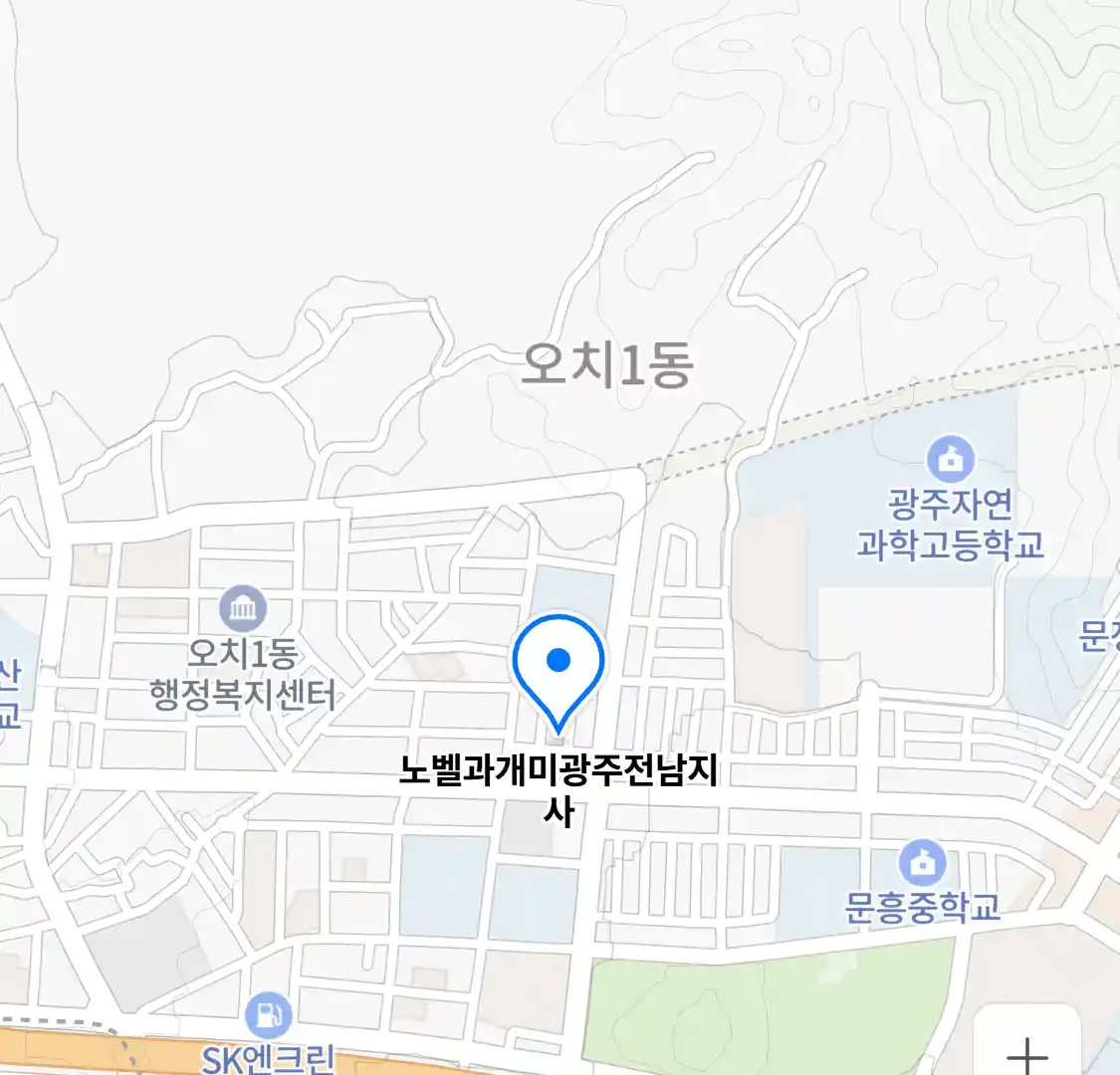 노벨과개미광주전남지사 위치